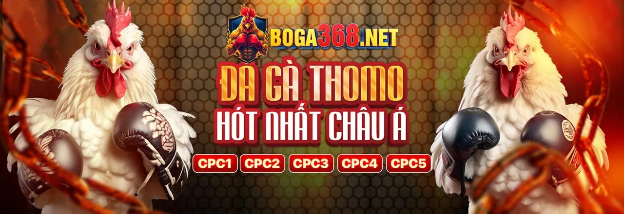 Tổng quan về đá gà trực tuyến gi88 code